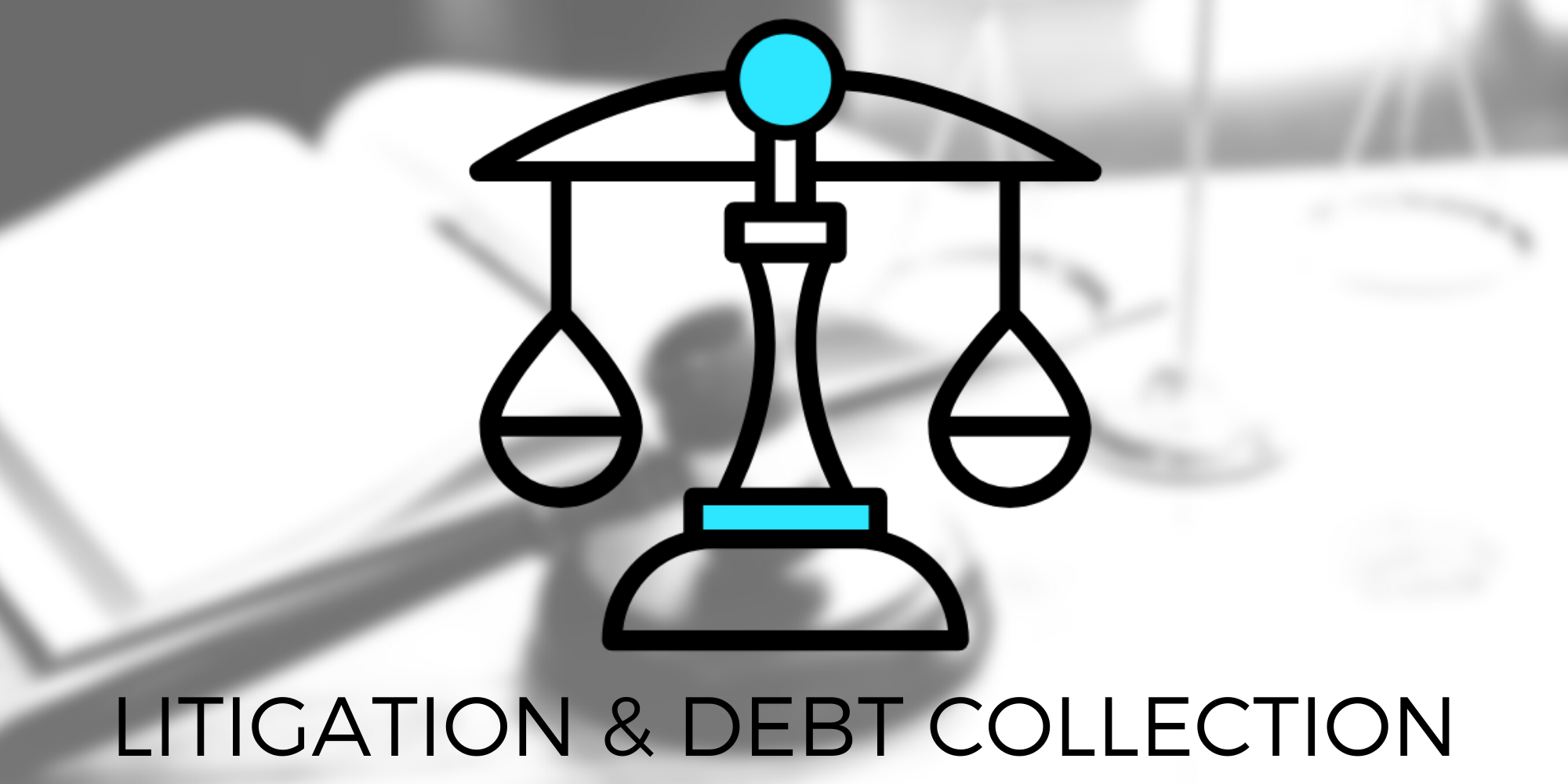 Litigation and Debt Collection